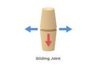 What Are Gliding Joints? - Body and Gliding Joint Movement | FIX24